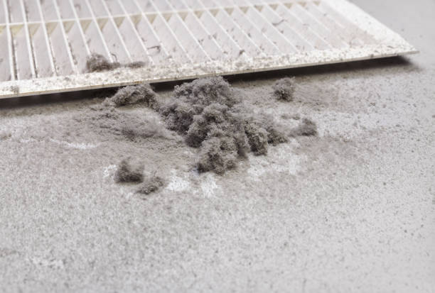 Best Air Duct Cleaning Near Me  in Edisto, SC