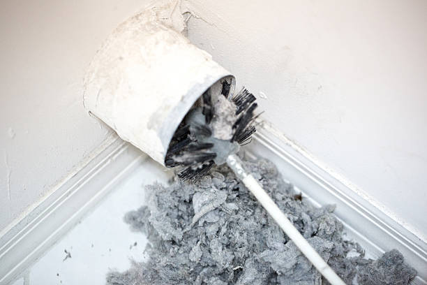 Best Ductwork Cleaning Services  in Edisto, SC